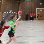 2017_01_08 Landesliga Frauen u. J19